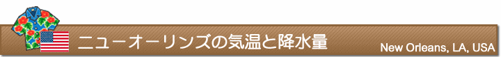 ニューオーリンズの気温と降水量
