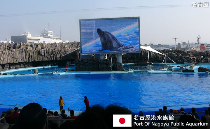 名古屋港水族館の観光ガイド