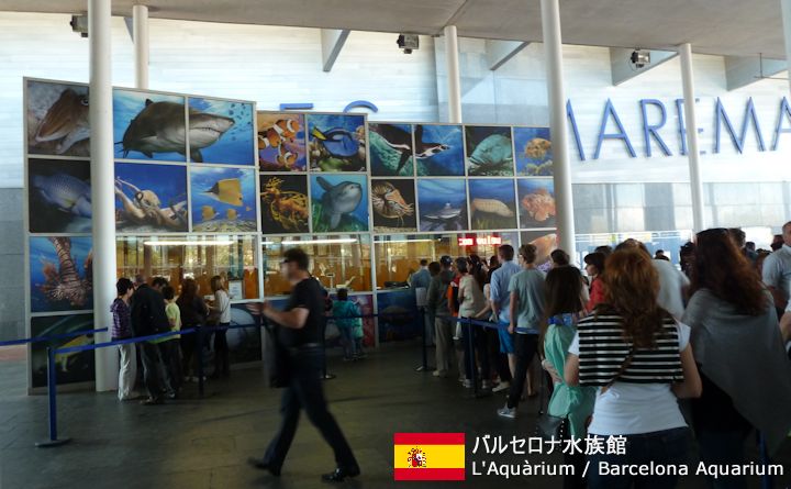 バルセロナ水族館