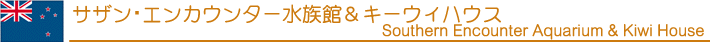 サザン・エンカウンター水族館＆キーウィハウス