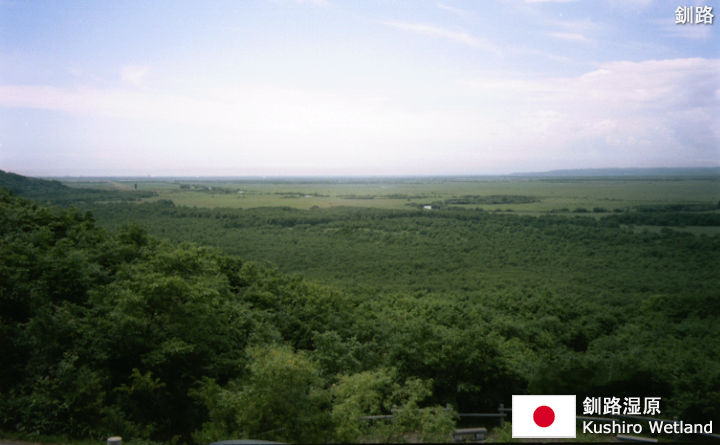 釧路湿原の観光ガイド