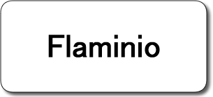 FLAMINIO