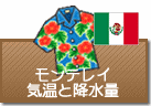 モンテレイの気温と降水量