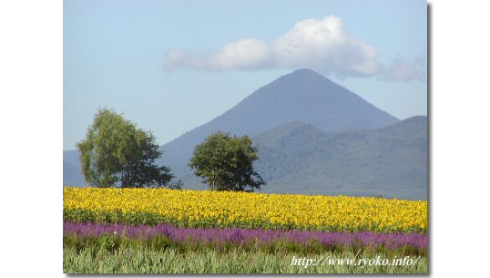 温根湯