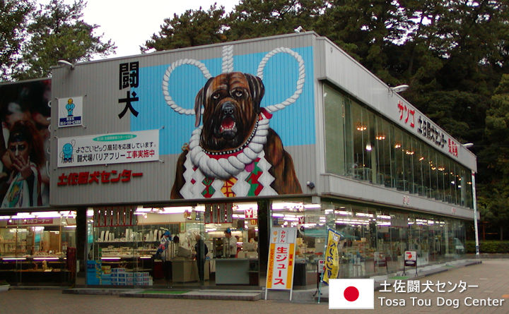 土佐闘犬センター