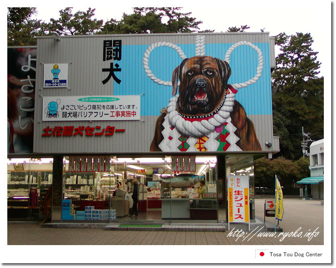 土佐闘犬センター