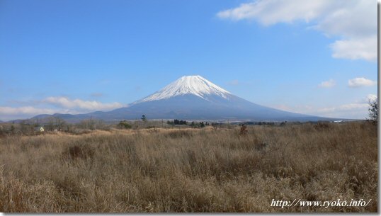 朝霧高原