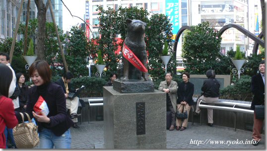 Faithful dog Hachiko